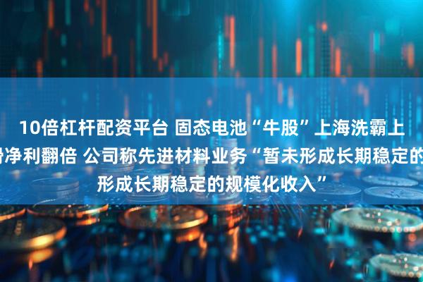 10倍杠杆配资平台 固态电池“牛股”上海洗霸上半年营收下滑净利翻倍 公司称先进材料业务“暂未形成长期稳定的规模化收入”