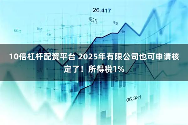 10倍杠杆配资平台 2025年有限公司也可申请核定了！所得税1%
