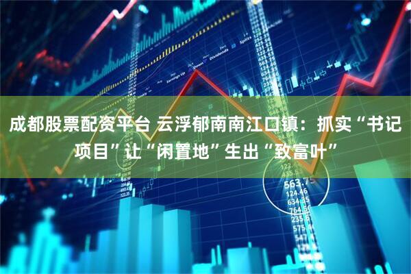 成都股票配资平台 云浮郁南南江口镇：抓实“书记项目”让“闲置地”生出“致富叶”